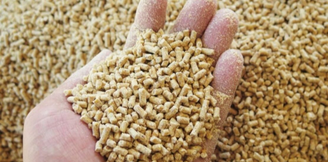 Animal Feed Ingredients for Zimbabwean Farmers this 2023
