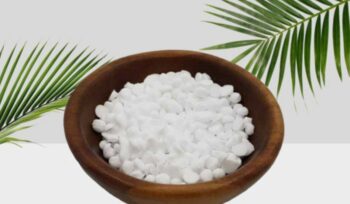 Glyceryl Stearate & PEG 100-Stearate