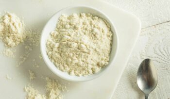 Whey Powder Concentrate 80% REG Uses and Key Facts