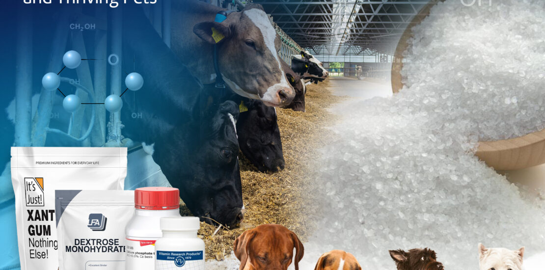 Nutritious Feed Solutions: Healthy Livestock and Thriving Pets