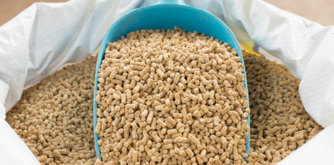 _Animal Feed Ingredients on Food Quality