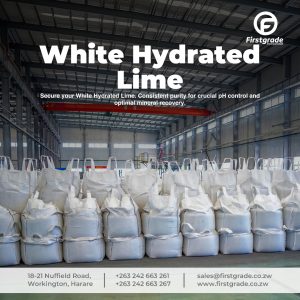 White Hydrated Lime